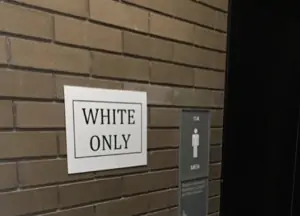 An in depth interview with Ashley Powell…the black student who placed “white only” signs up throughout her college campus