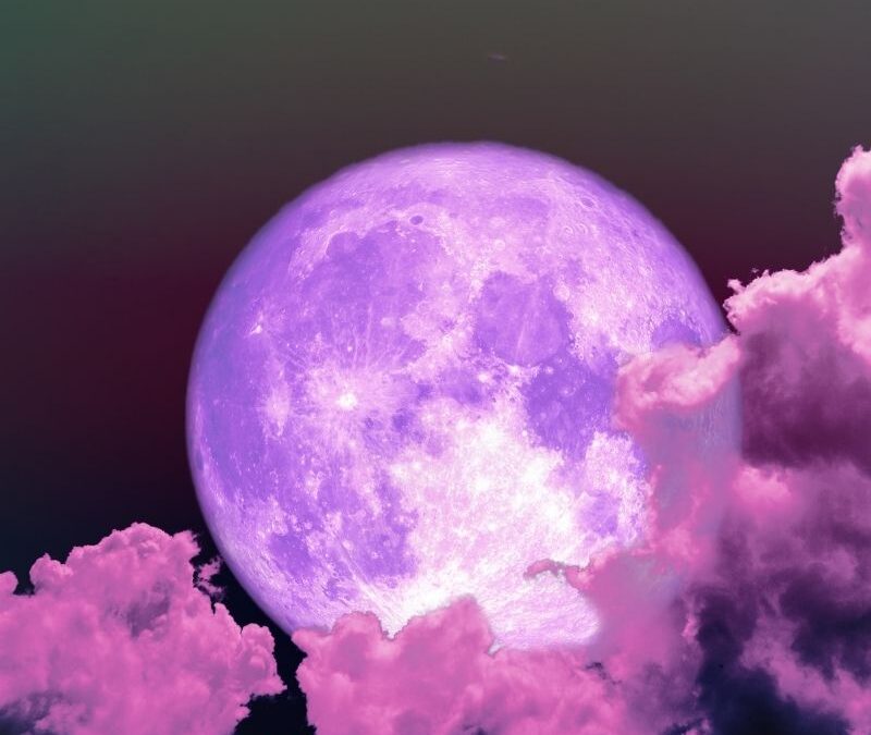 Short Story: Purple Moon by Diana W. [Readers Vote]