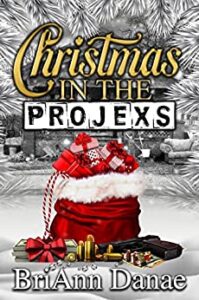 christmas in the projex